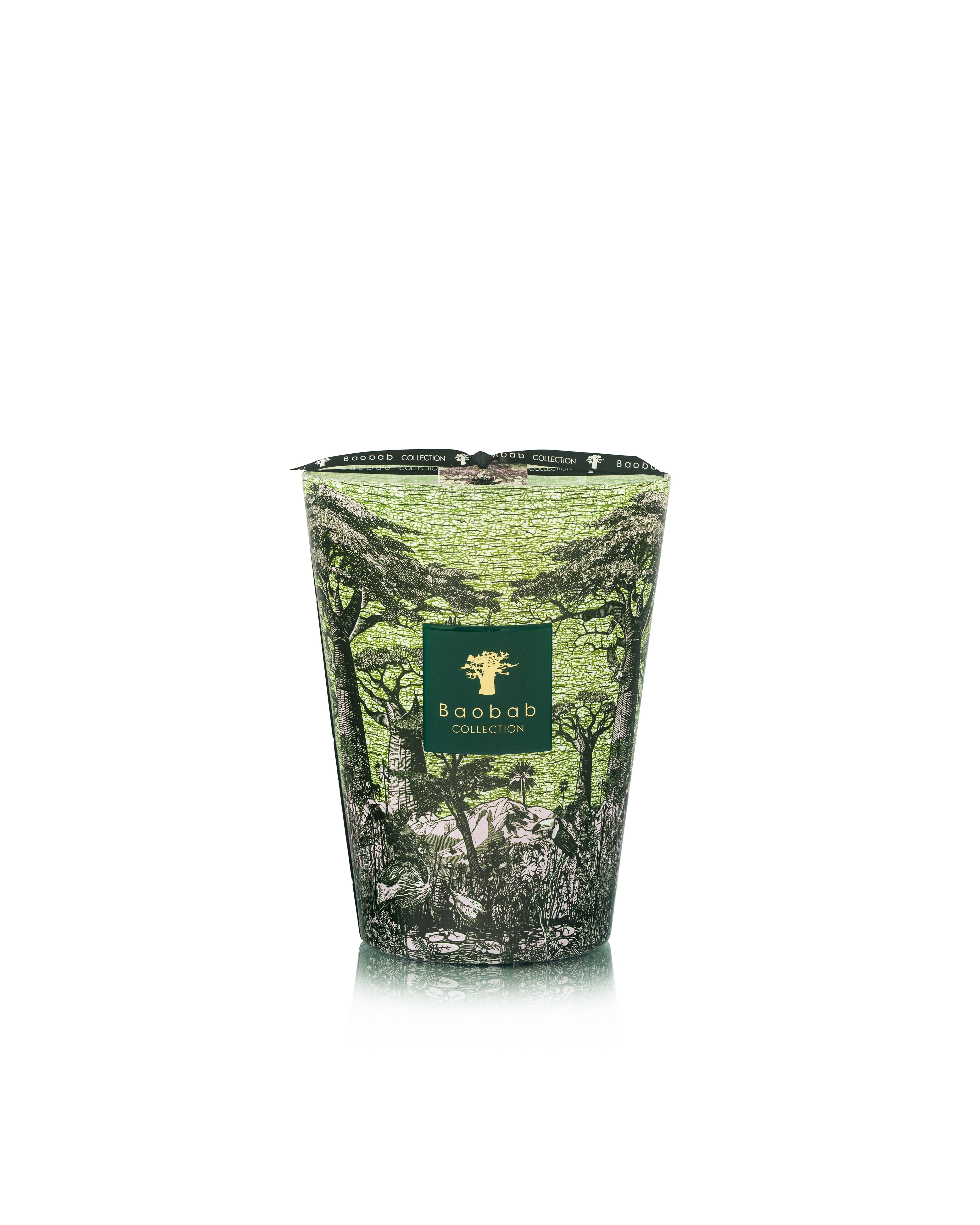 Bougie New Sacred trees Touba, Baobab Collection, visuel 5