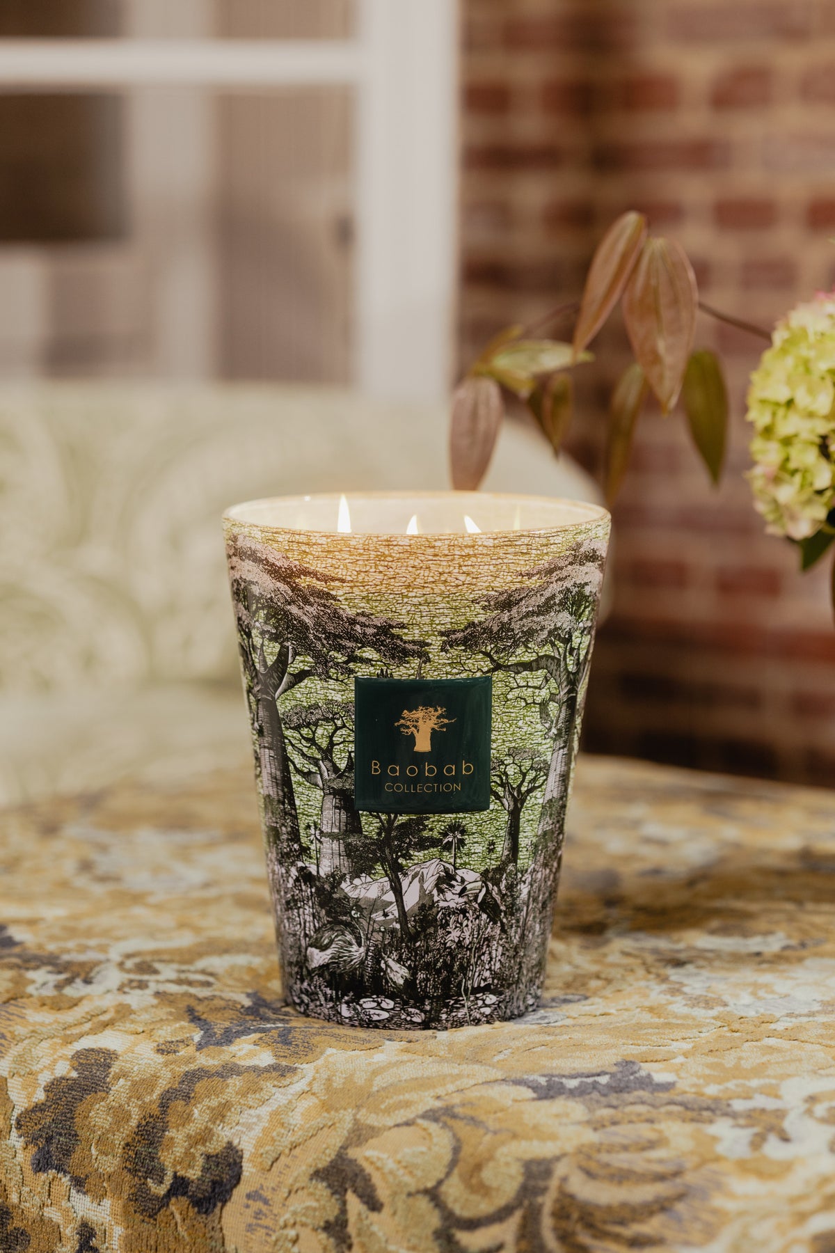 Bougie New Sacred trees Touba, Baobab Collection, visuel 7