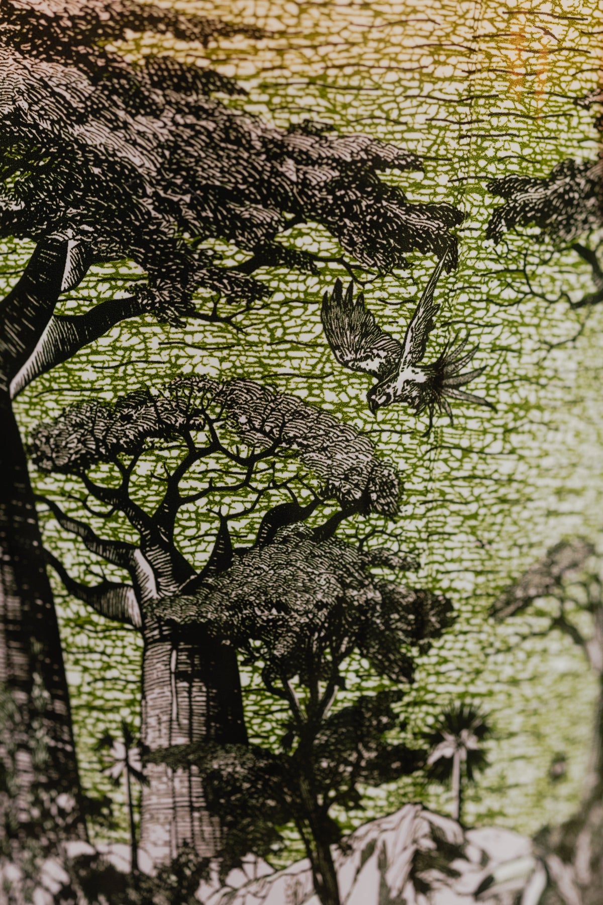 Bougie New Sacred trees Touba, Baobab Collection, visuel 8