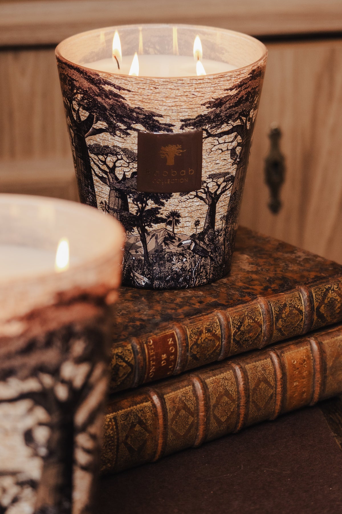 Bougie New Sacred trees Mankono, Baobab Collection, visuel 8
