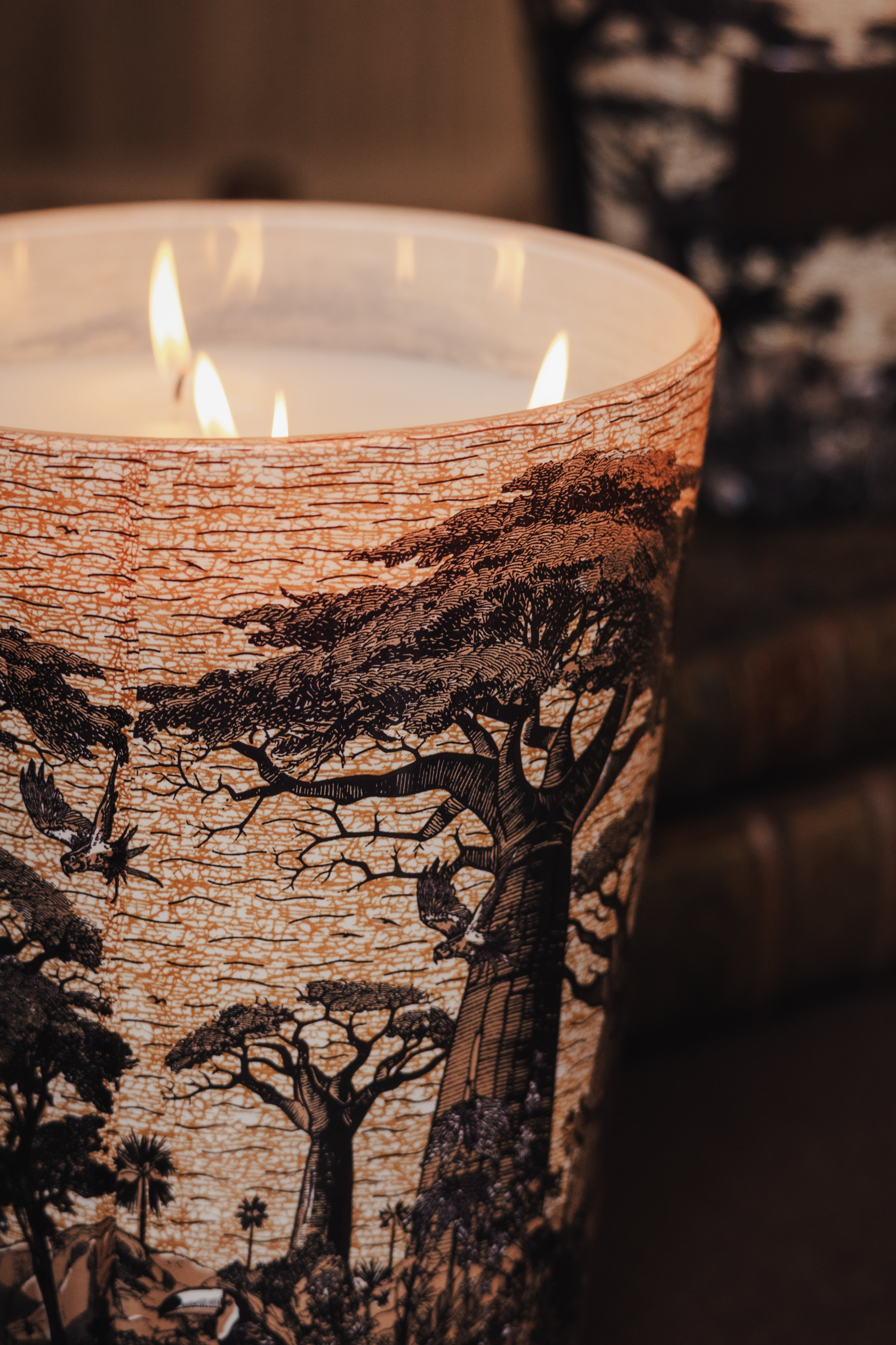 Bougie New Sacred trees Mankono, Baobab Collection, visuel 9