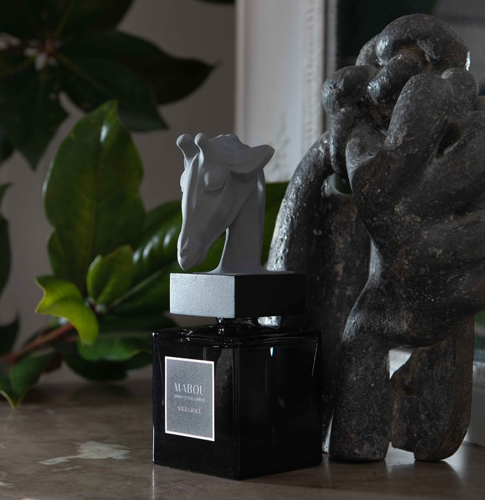 Coffret diffuseur 250ml Wild Grace, Mabou, visuel 8