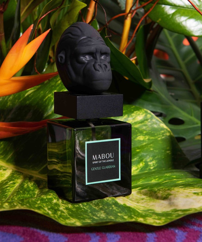 Coffret diffuseur 250ml Gentle Guardian, Mabou, visuel 8