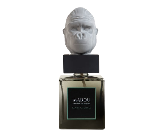Coffret diffuseur 250ml Gentle Guardian, Mabou