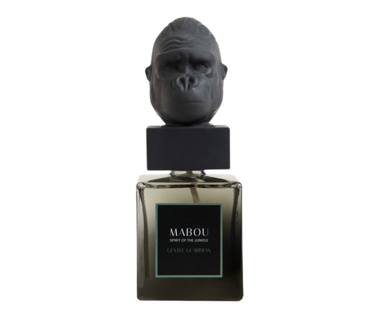 Coffret diffuseur 250ml Gentle Guardian, Mabou, visuel 4