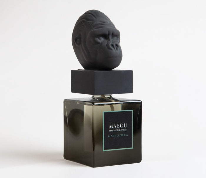 Coffret diffuseur 250ml Gentle Guardian, Mabou, visuel 5