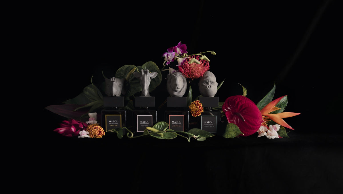 Coffret diffuseur 250ml Gentle Guardian, Mabou, visuel 11