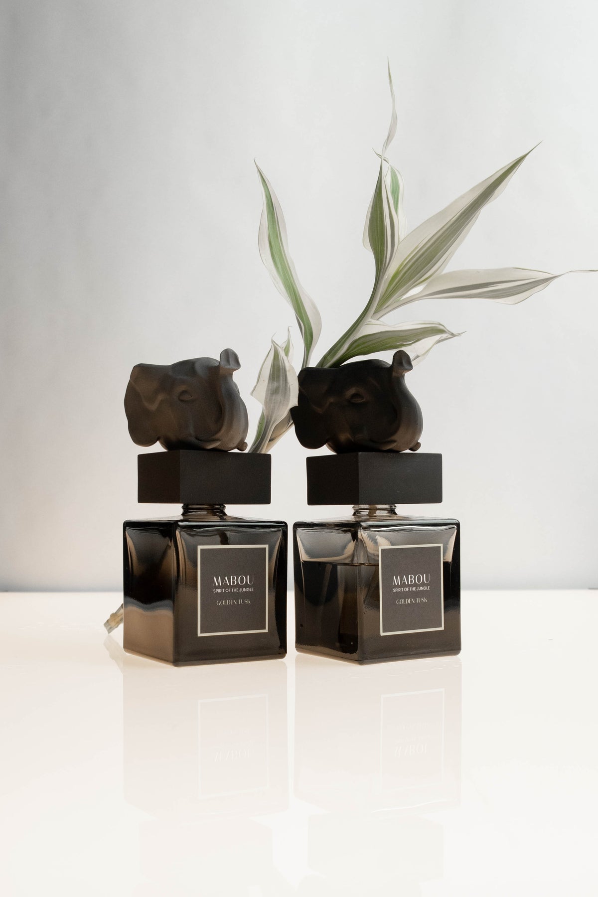 Coffret diffuseur 250ml Golden Tusk, Mabou, visuel 8