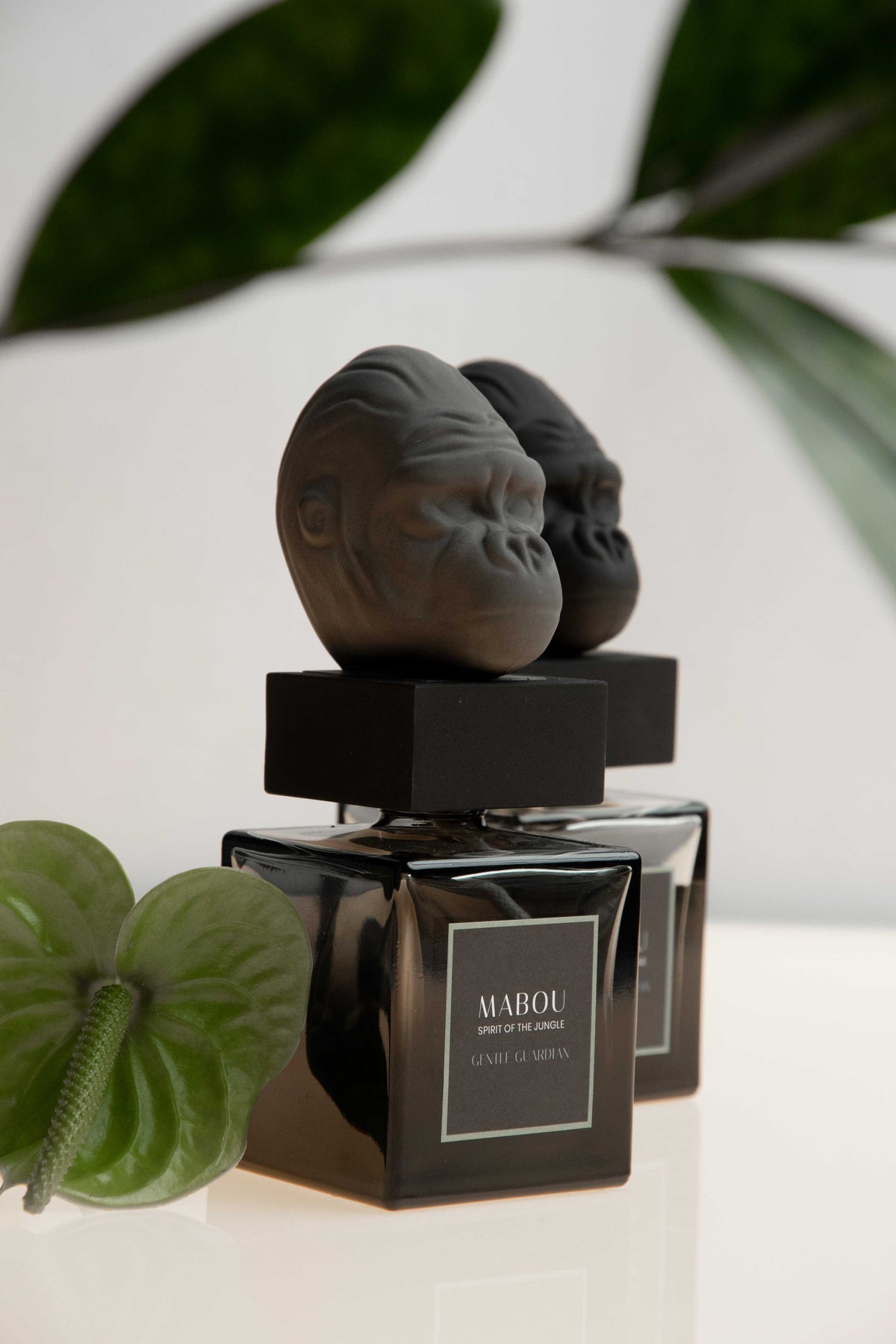 Coffret diffuseur 250ml Gentle Guardian, Mabou, visuel 10