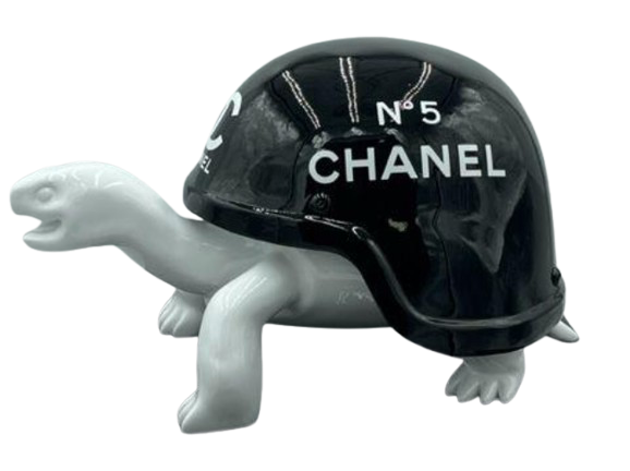 Tortue Gabrielle noire et blanche, Naor 26