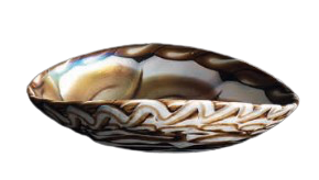Coupelle Murano PIEGHETTA Caraibi, Yalos