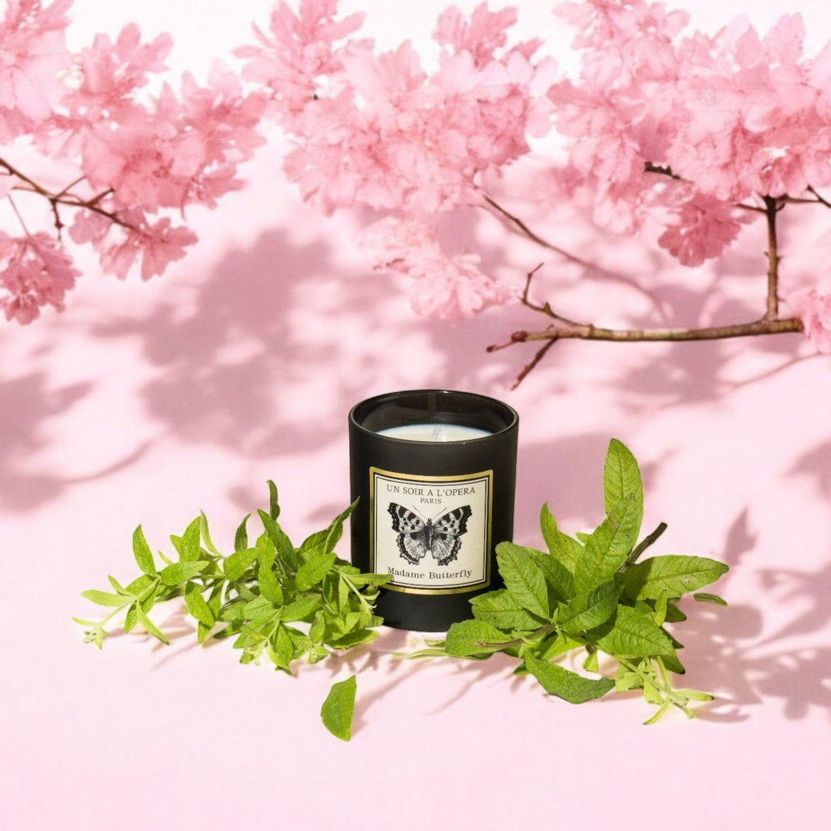 Bougie Madame Butterfly 180g, Un Soir A L'opera, visuel 4