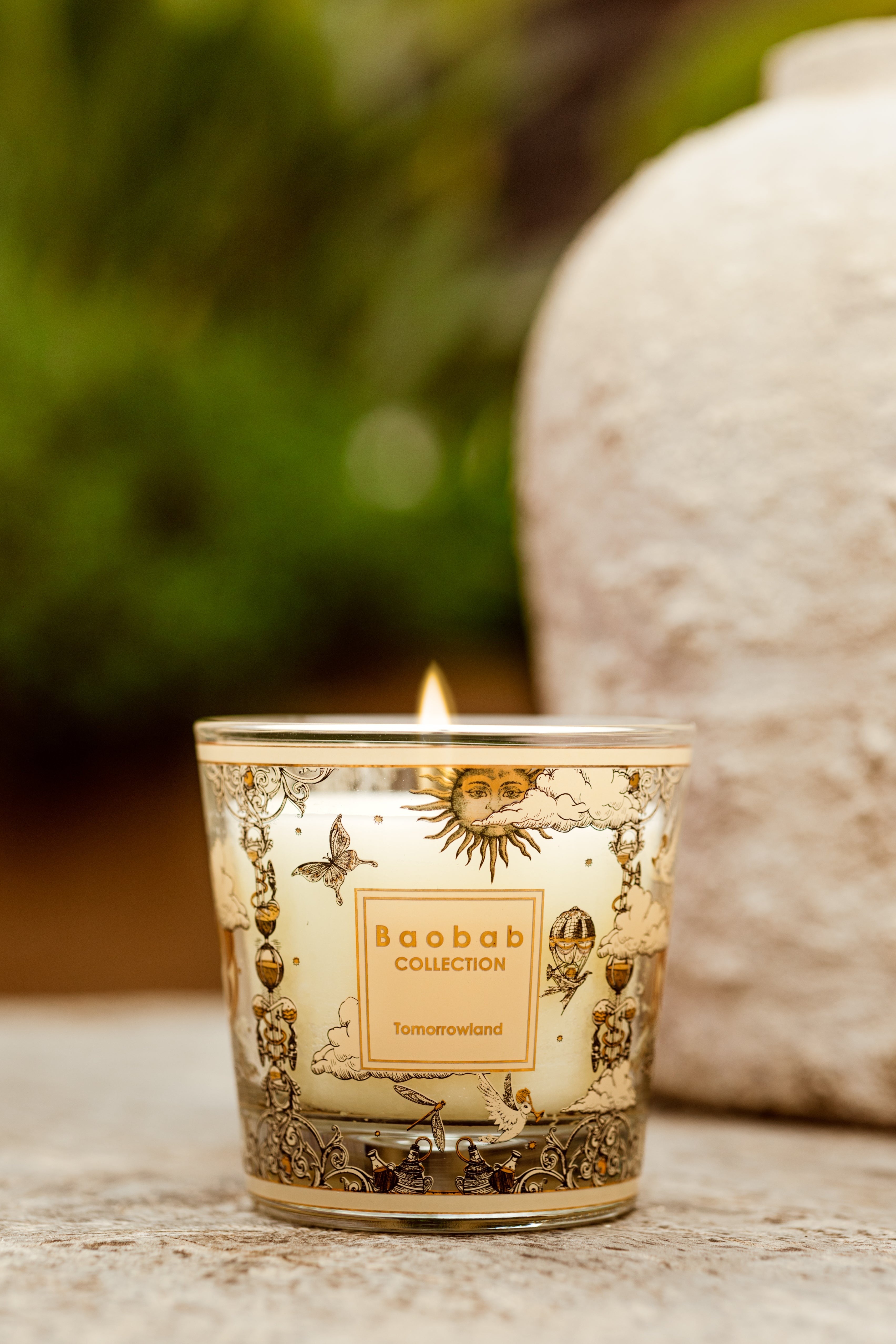 My First Baobab - Tomorrowland 2025, Baobab Collection, visuel 2