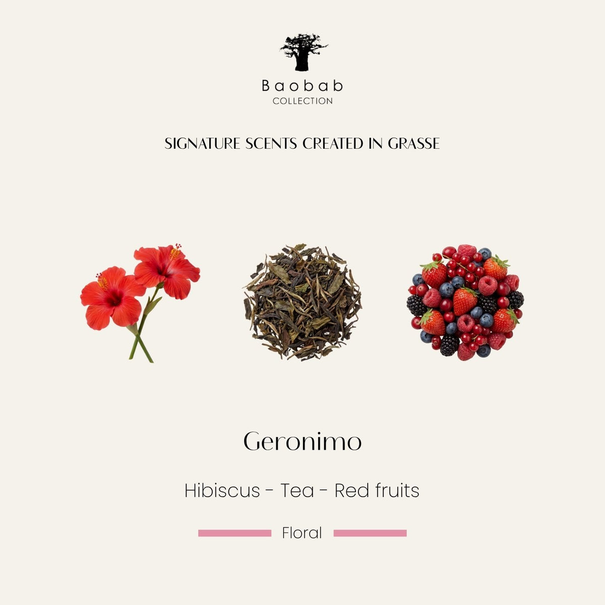 Notes olfactives de la bougie Baobab Geronimo : hibiscus, thé, fruits rouges. Parfum créé à Grasse