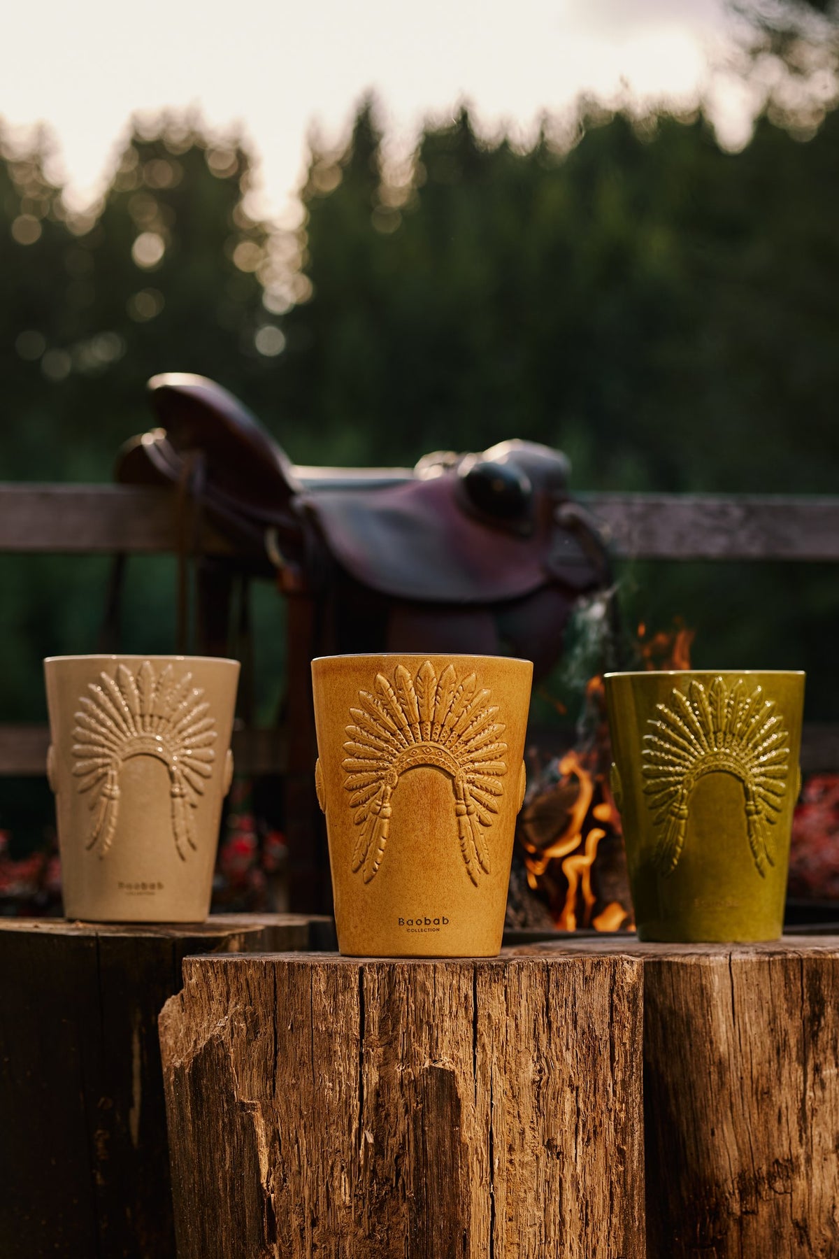 Le trio Baobab Eagle's Pride, Crazy Horse, Geronimo et Sitting Bull, sur des souches devant un feu de bois